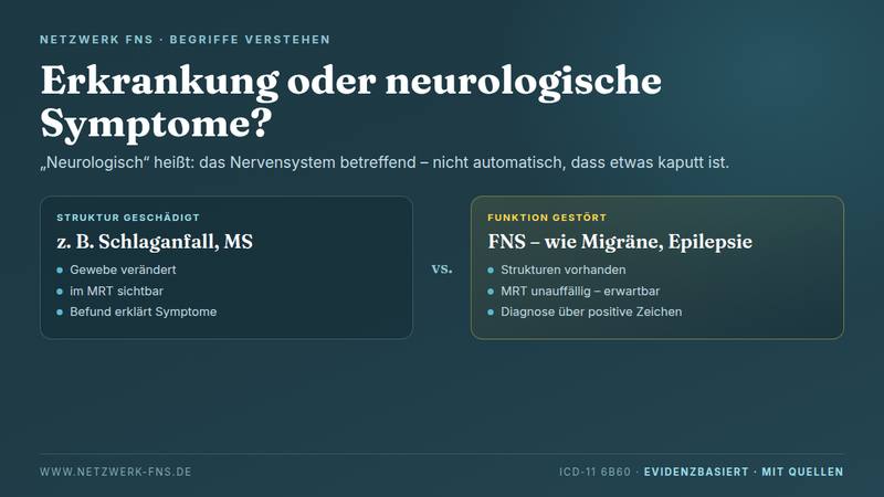 Erkrankung oder neurologische Symptome? Vergleich: Struktur geschädigt wie bei Schlaganfall und MS gegenüber Funktion gestört bei FNS