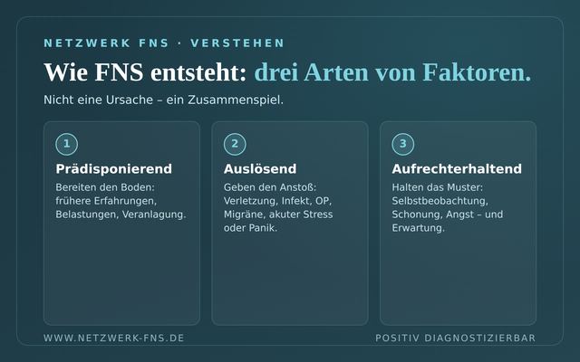Ursachen & Diagnose bei FNS