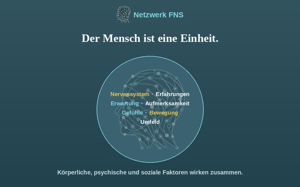 Ein Kreis mit dem Netzwerkkopf, darin die Begriffe Nervensystem, Erfahrungen, Erwartung, Aufmerksamkeit, Gef&uuml;hle, Bewegung und Umfeld