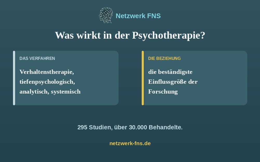Verfahren und Beziehung gegen&uuml;bergestellt: 295 Studien zur therapeutischen Allianz